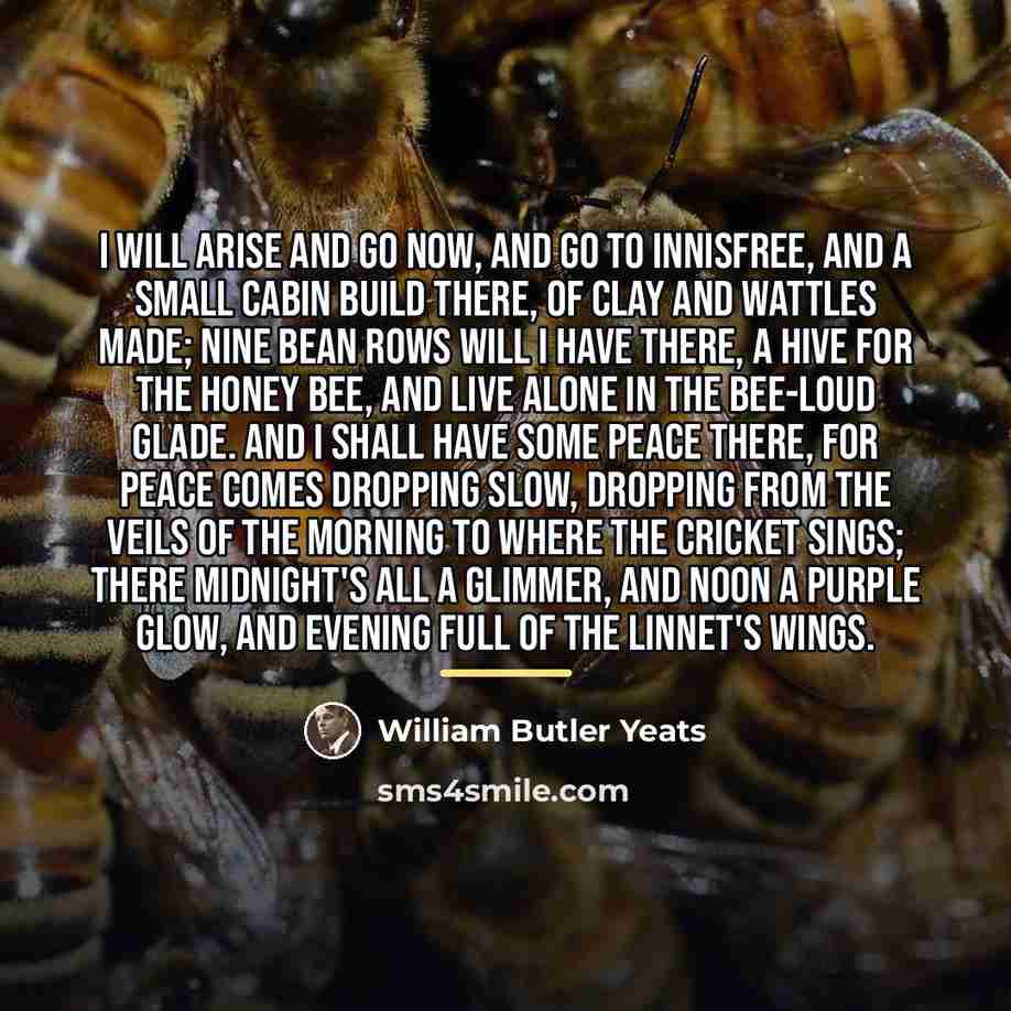 “I will arise and go now, and go to Innisfree,…” quote by William Butler Yeats
