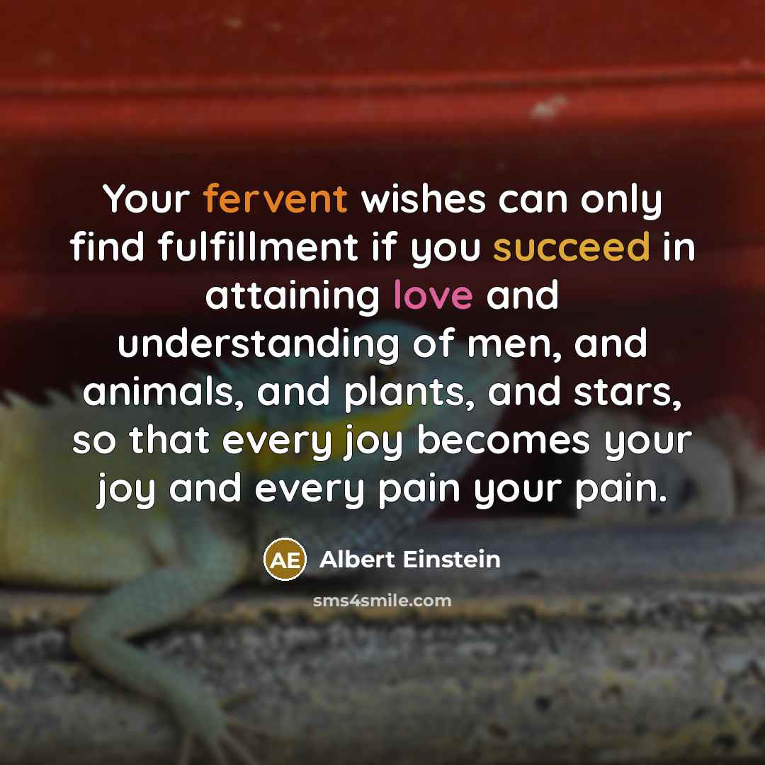 “Your fervent wishes can only find fulfillment if you succeed…” quote by Albert Einstein