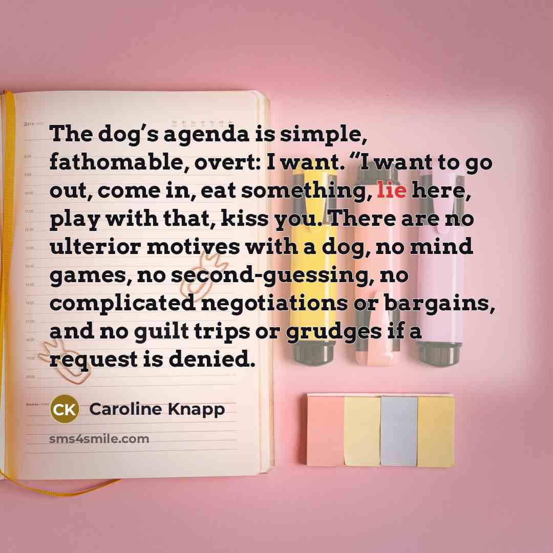 “The dog’s agenda is simple, fathomable, overt: I want. “I…” quote by Caroline Knapp