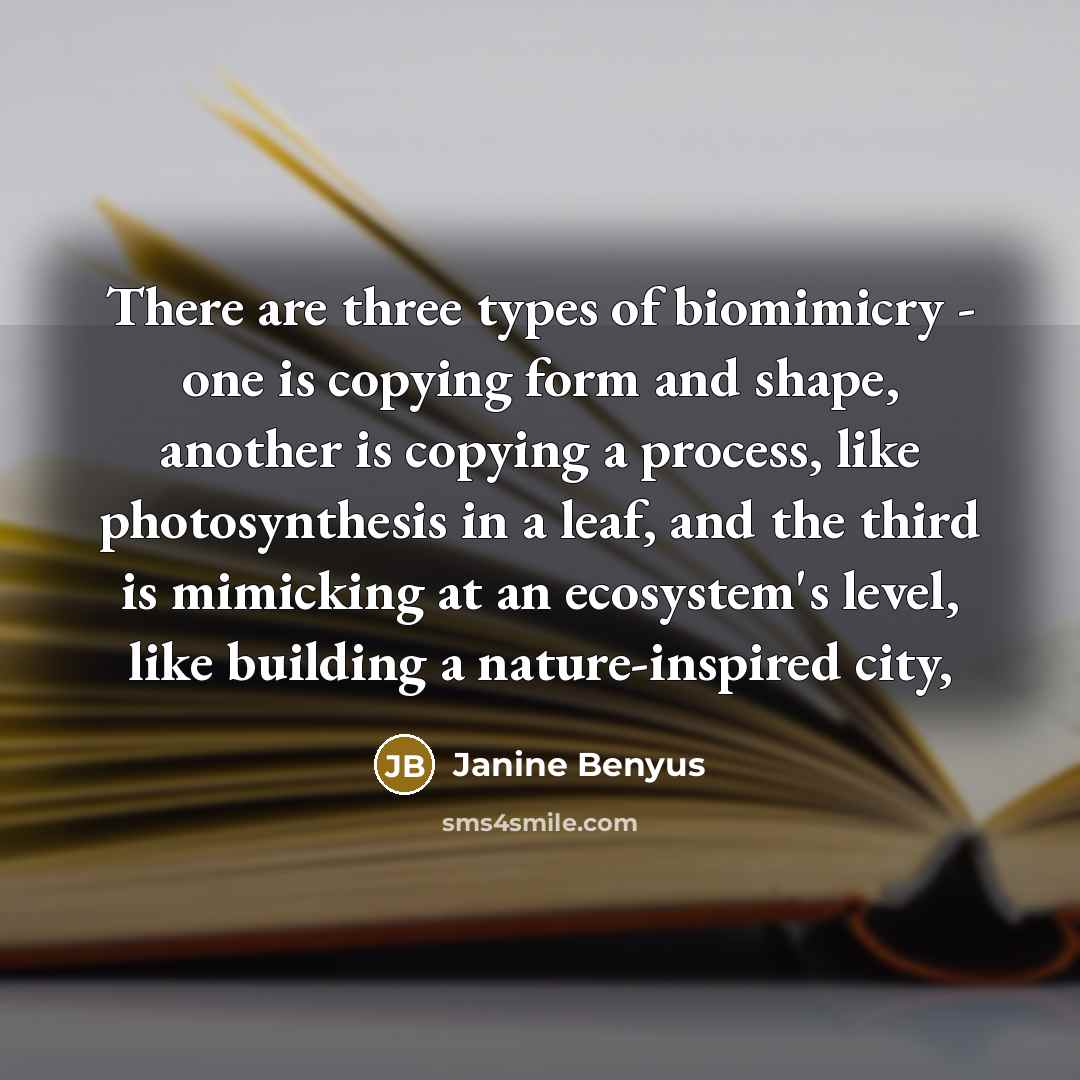 “There are three types of biomimicry - one is copying…” quote by Janine Benyus