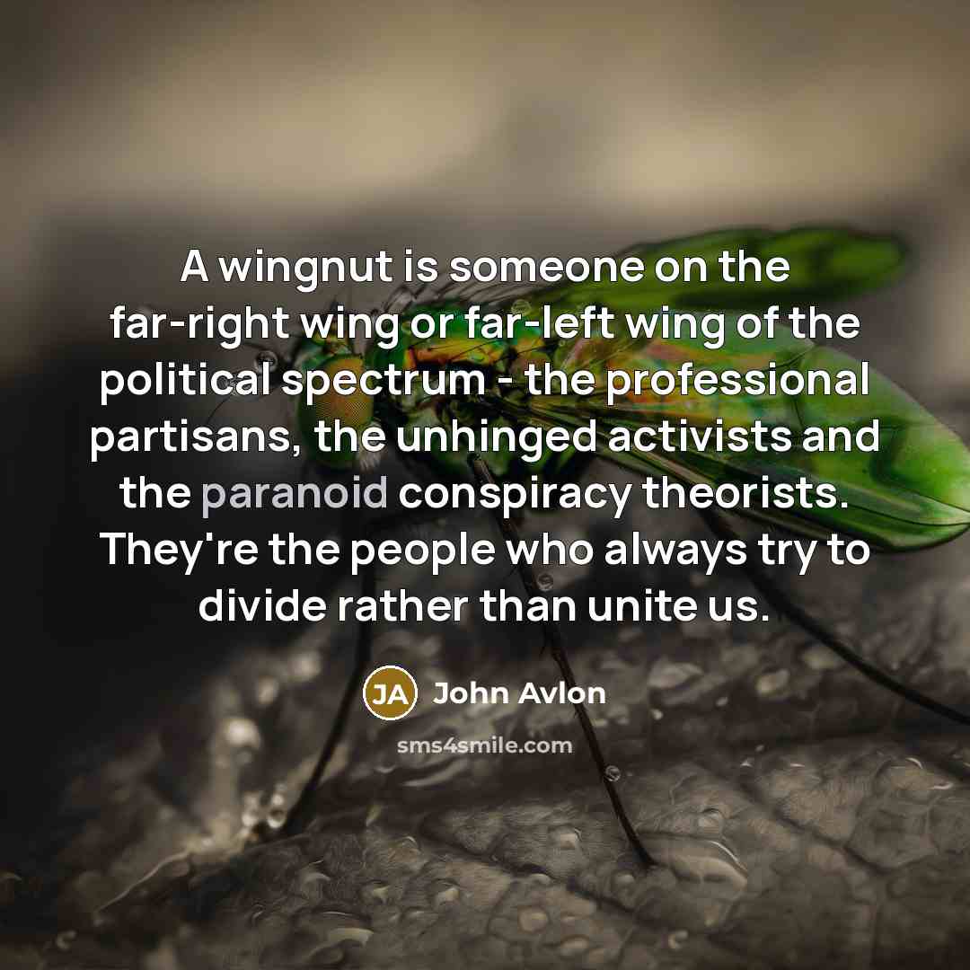 “A wingnut is someone on the far-right wing or far-left…” quote by John Avlon