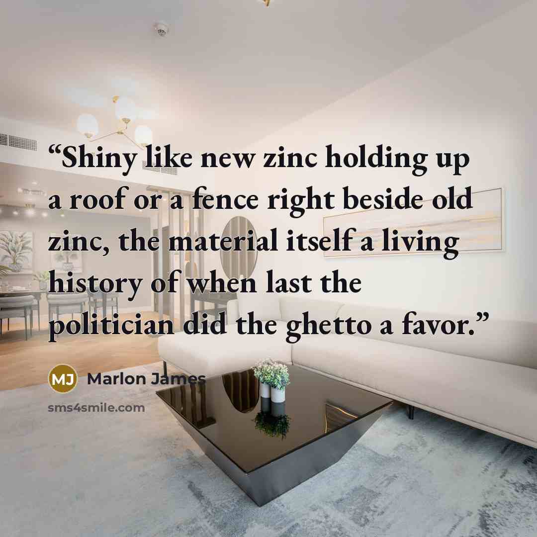 “Shiny like new zinc holding up a roof or a fence right beside old zinc, the material itself a living history of when last the politician did the ghetto a favor.” quote by Marlon James