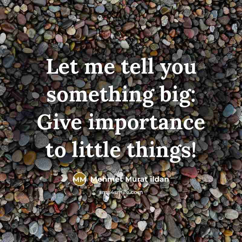 “Let me tell you something big: Give importance to little…” quote by Mehmet Murat Ildan