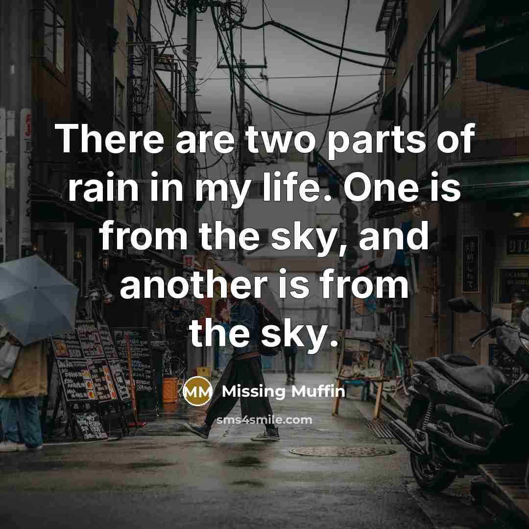 “There are two parts of rain in my life. One…” quote by Missing Muffin