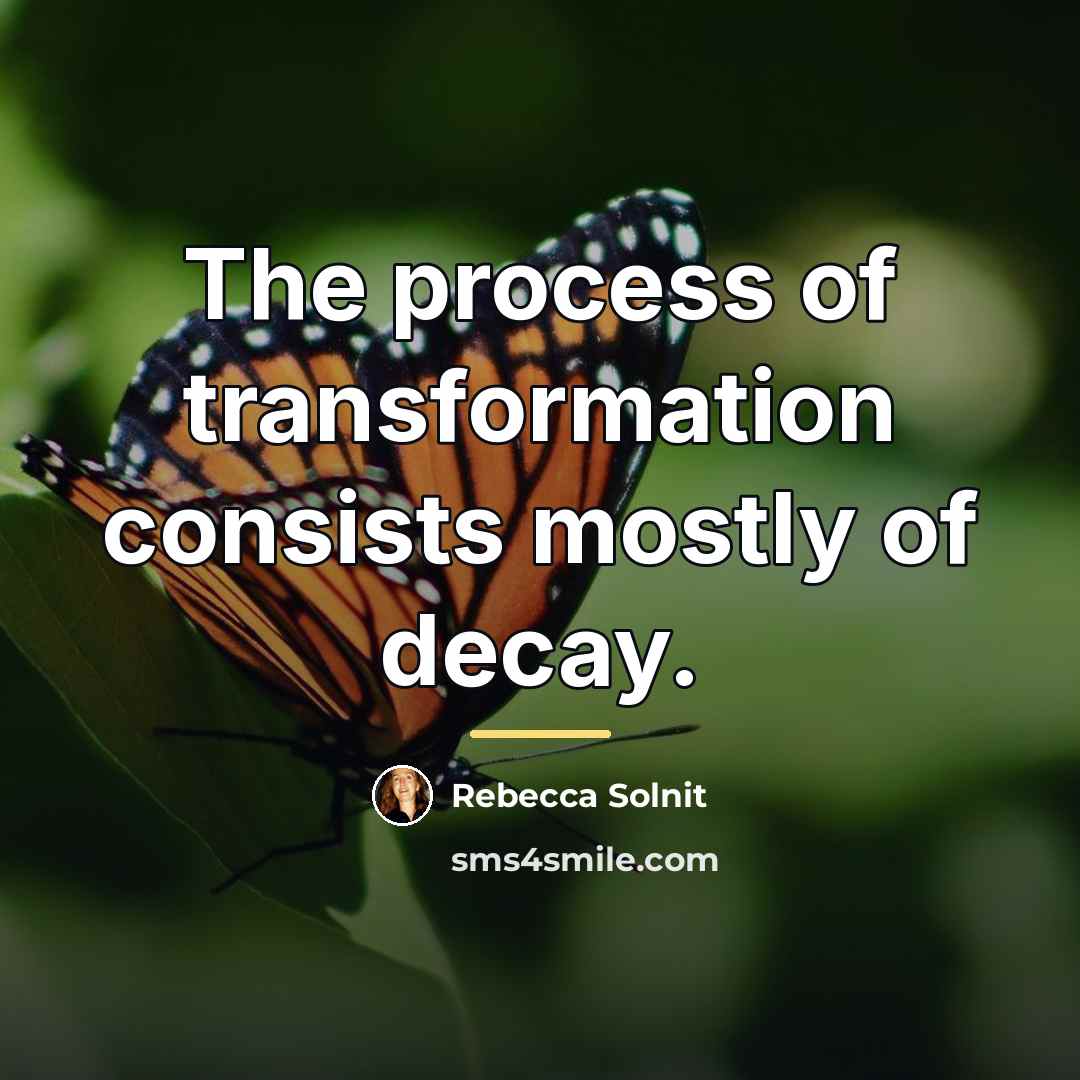 “The process of transformation consists mostly of decay.…” quote by Rebecca Solnit