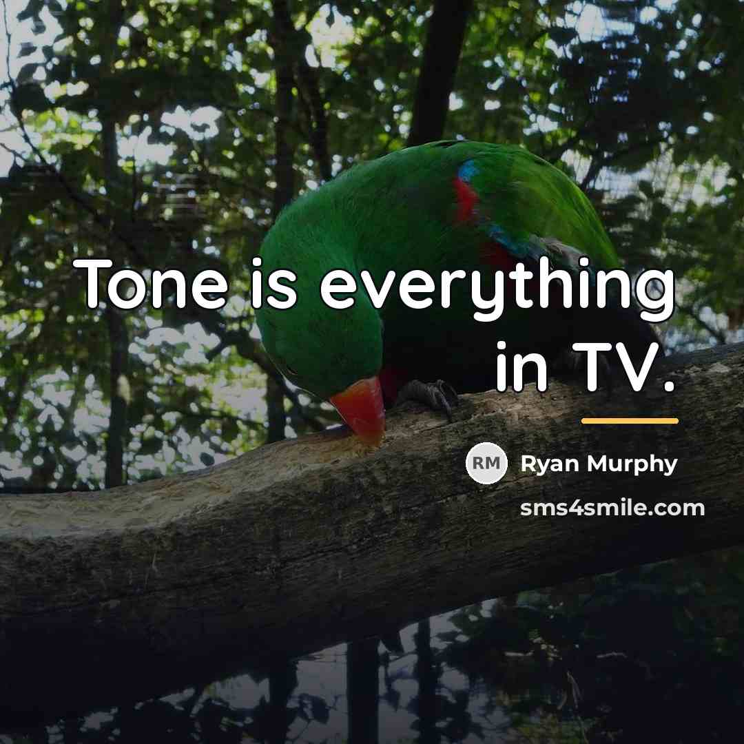 “Tone is everything in TV.…” quote by Ryan Murphy