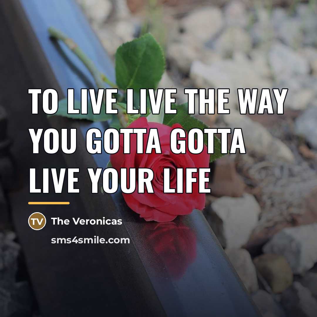 “To live live the way you gotta gotta live your…” quote by The Veronicas