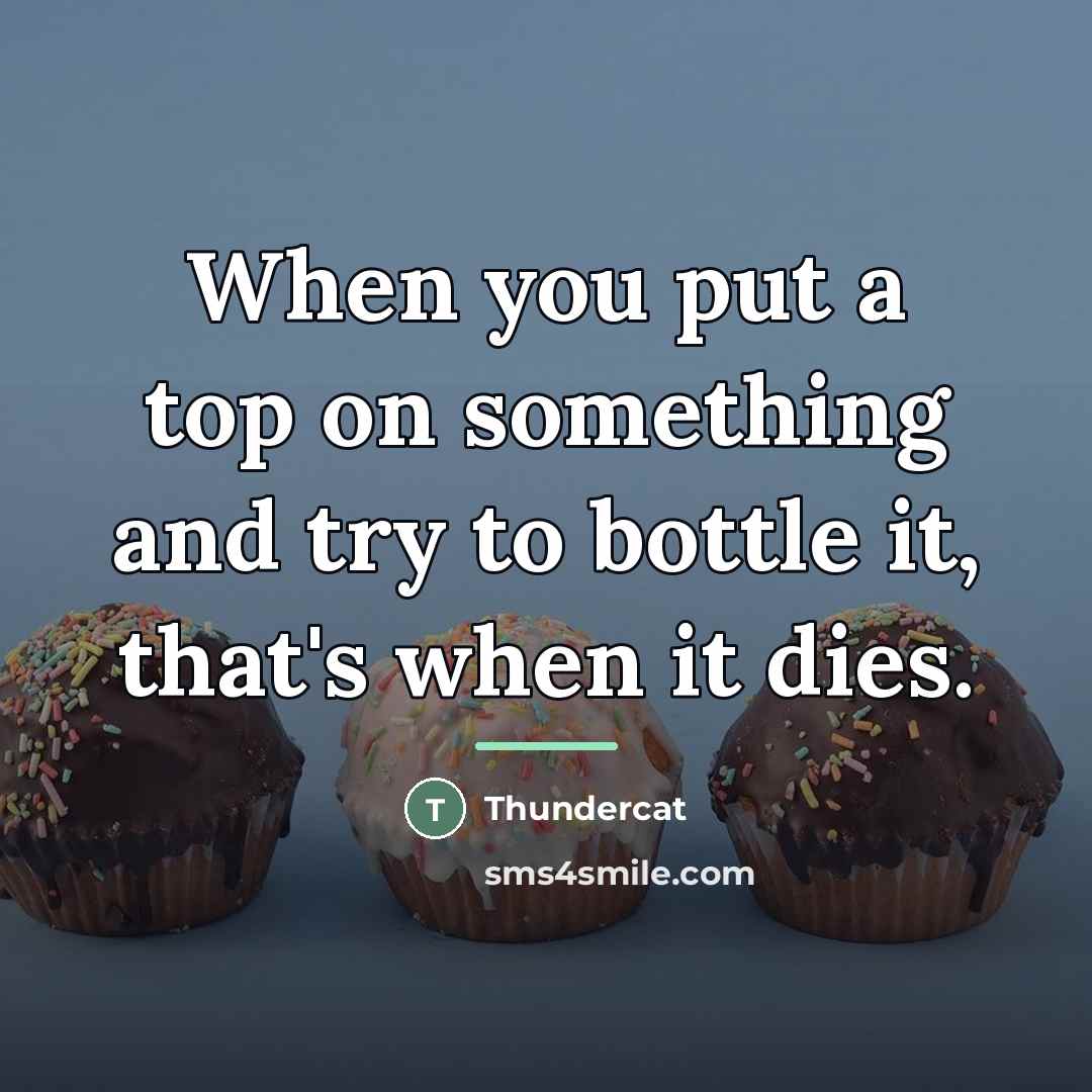 “When you put a top on something and try to…” quote by Thundercat
