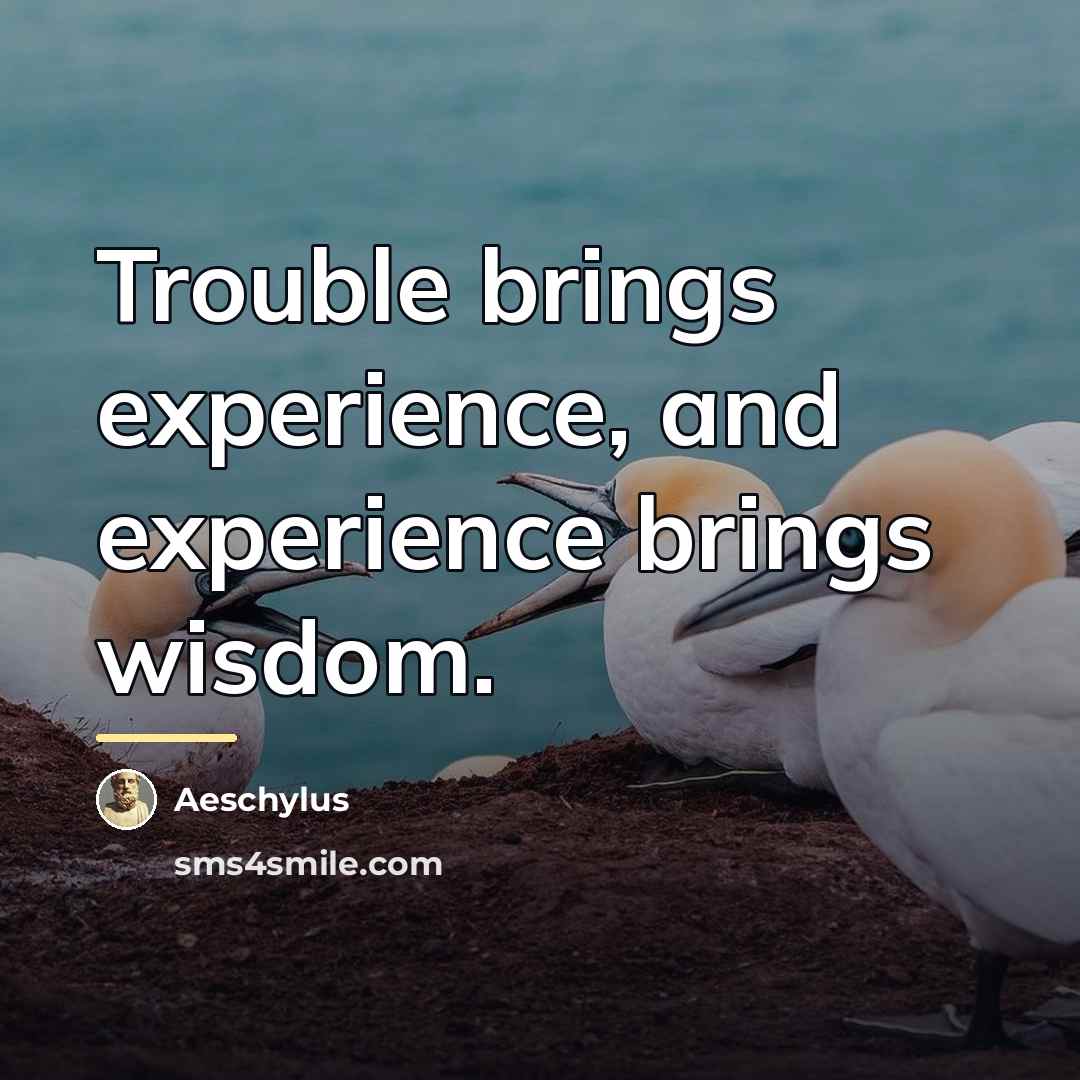 “Trouble brings experience, and experience brings wisdom.…” quote by Aeschylus