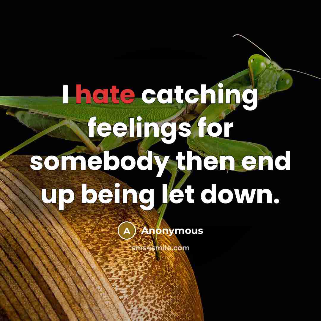 “I hate catching feelings for somebody then end up being let down.” quote by Anonymous