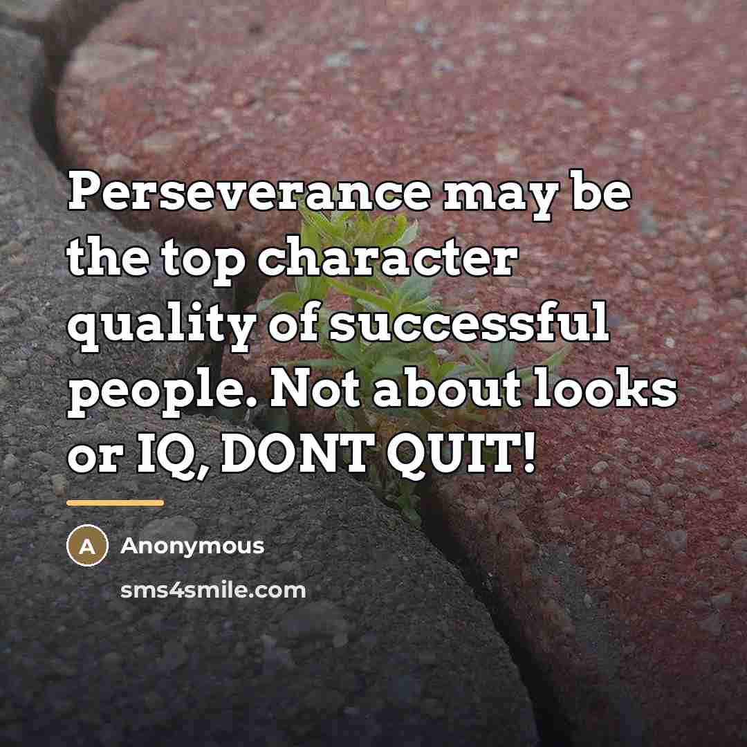 “Perseverance may be the top character quality of successful people.…” quote by Anonymous