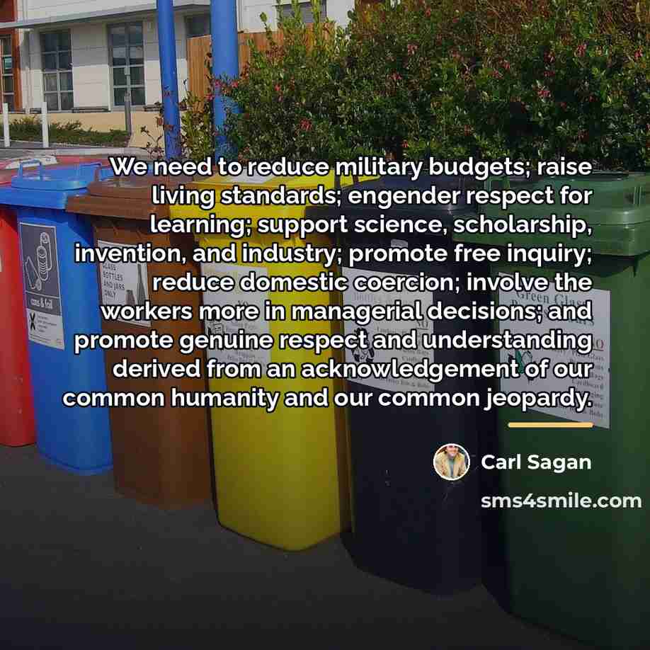 “We need to reduce military budgets; raise living standards; engender…” quote by Carl Sagan