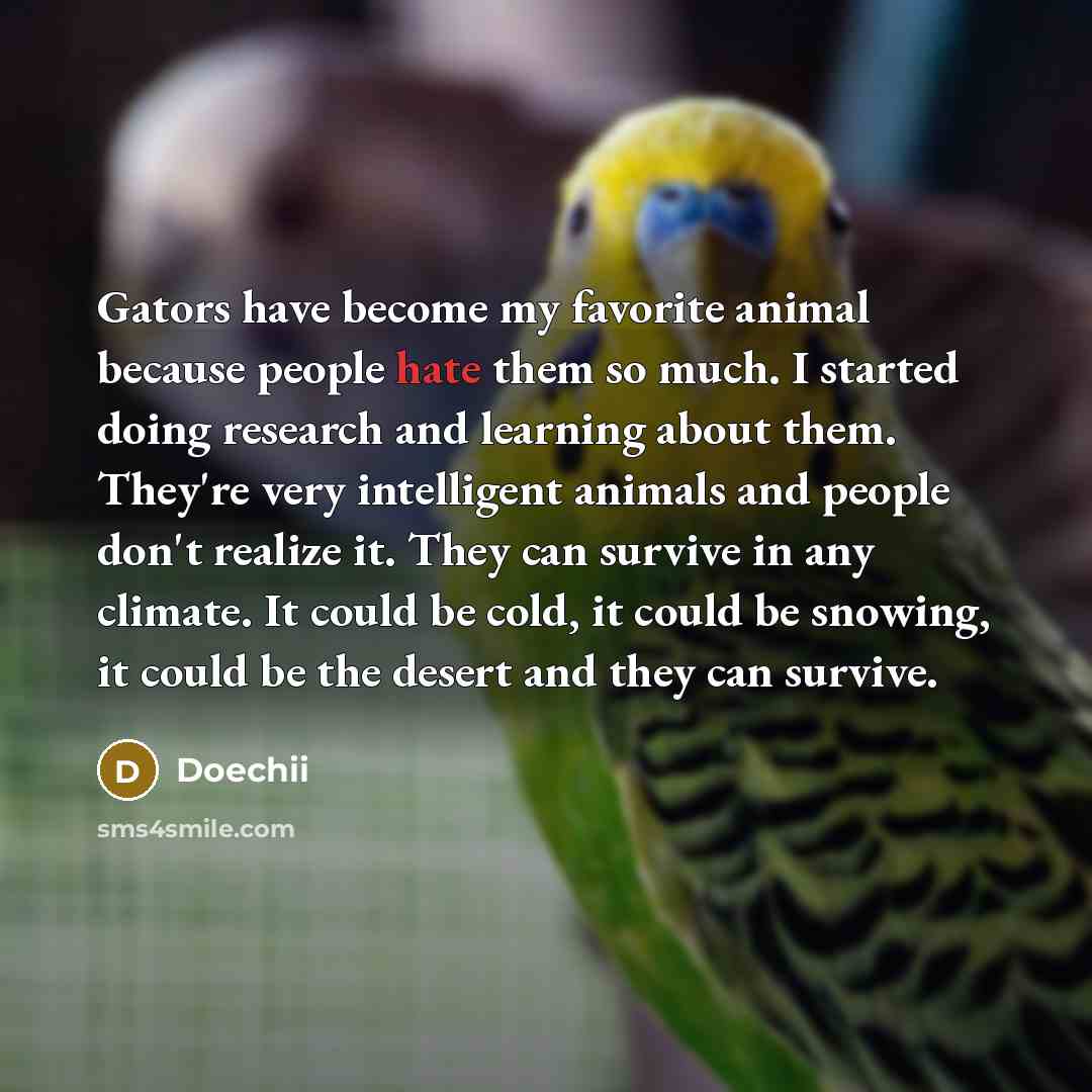 “Gators have become my favorite animal because people hate them…” quote by Doechii