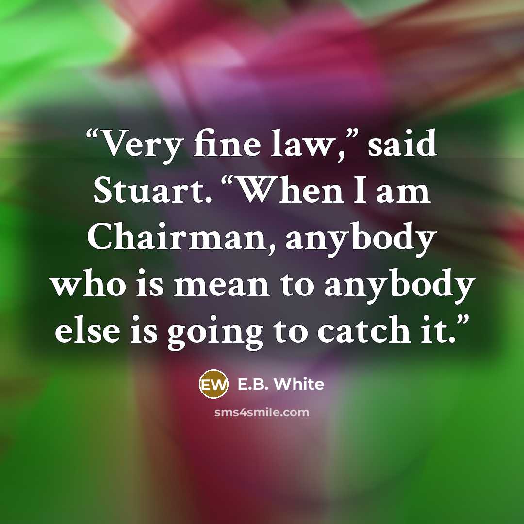 “Very fine law,” said Stuart. “When I am Chairman, anybody who is mean to anybody else is going to catch it.” quote by E.B. White