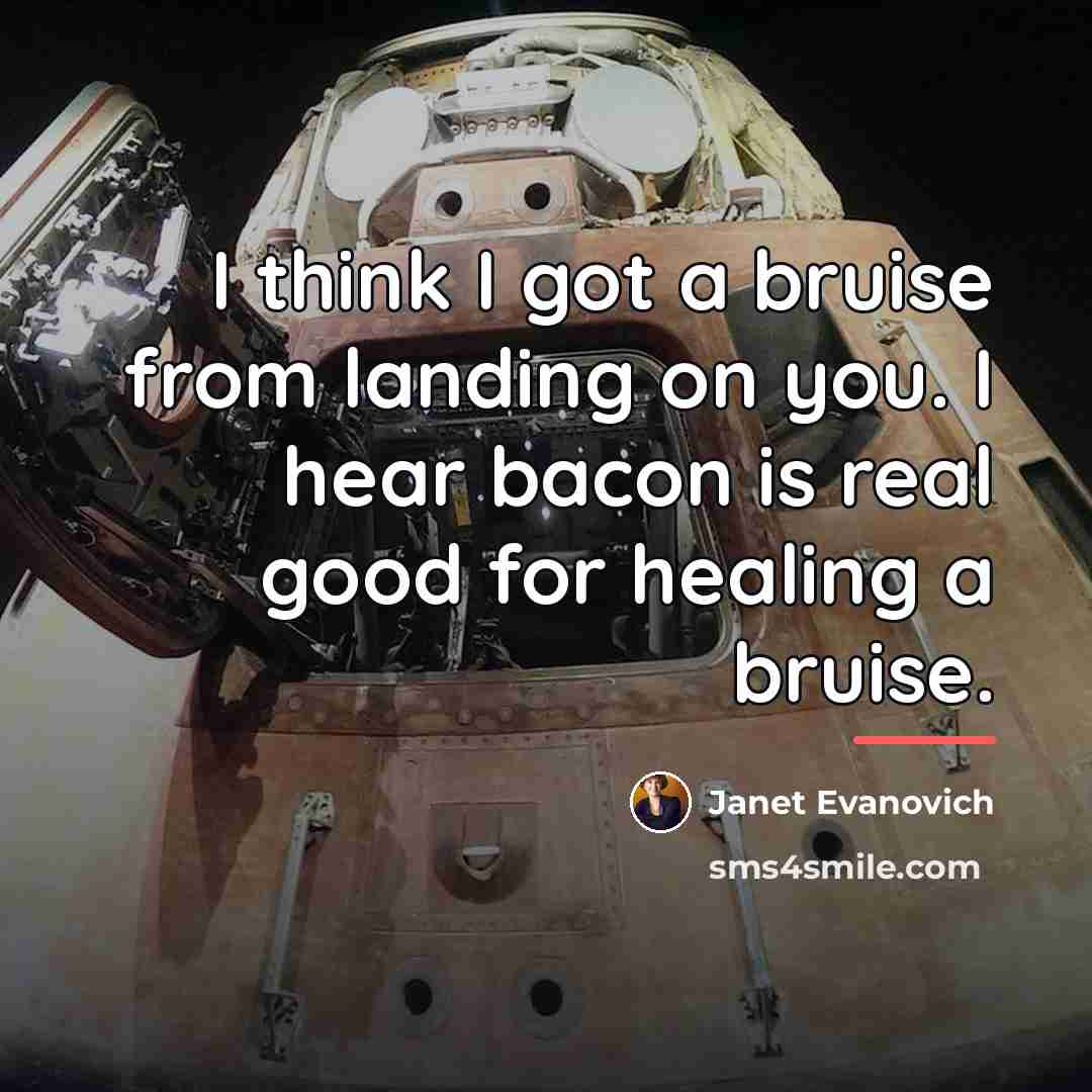 “I think I got a bruise from landing on you.…” quote by Janet Evanovich