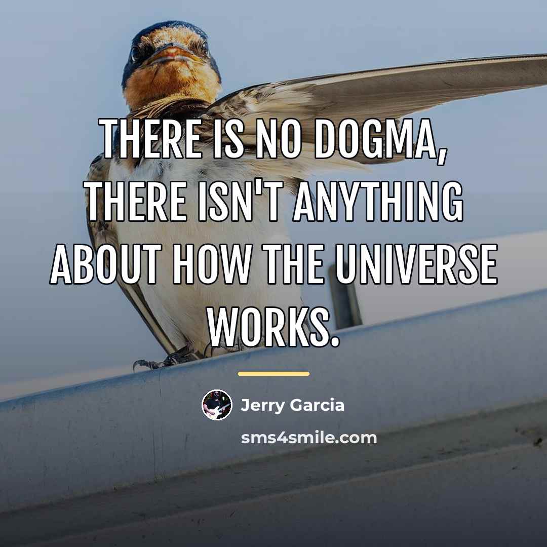 “There is no dogma, there isn't anything about how the…” quote by Jerry Garcia
