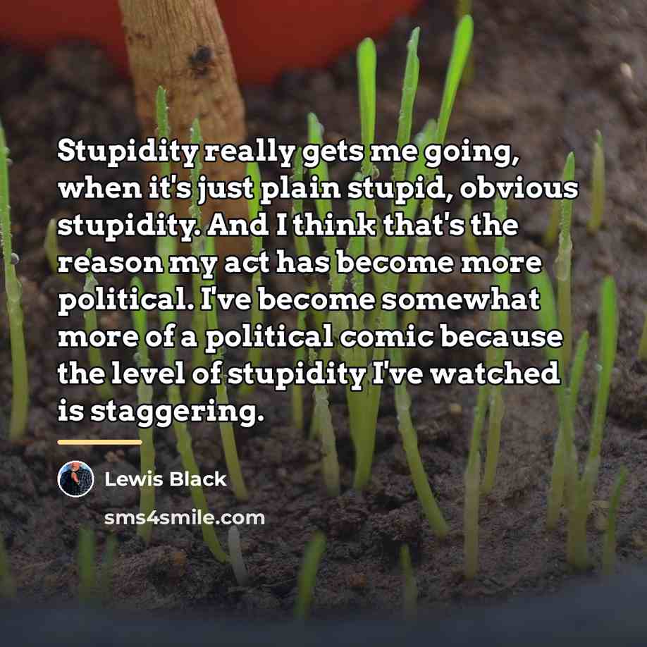 “Stupidity really gets me going, when it's just plain stupid,…” quote by Lewis Black