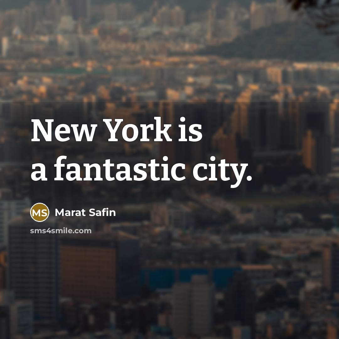 “New York is a fantastic city.” quote by Marat Safin