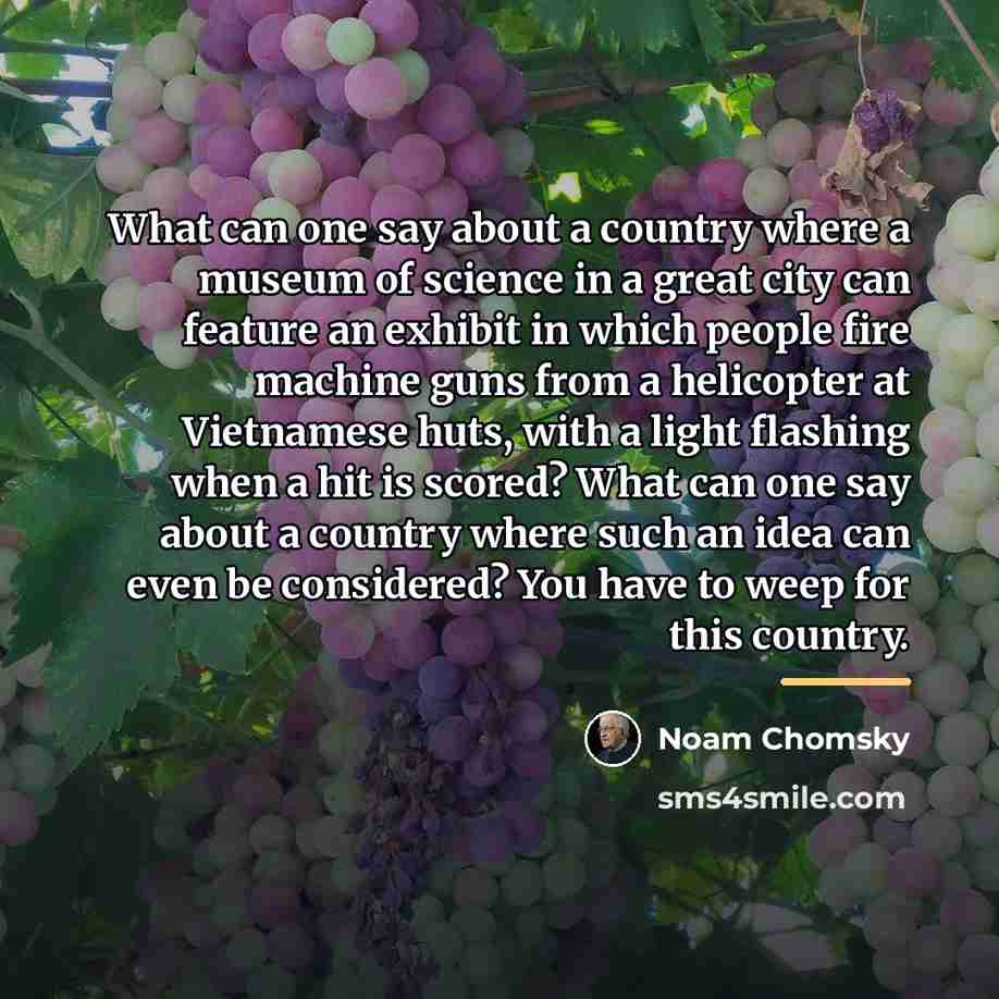 “What can one say about a country where a museum…” quote by Noam Chomsky