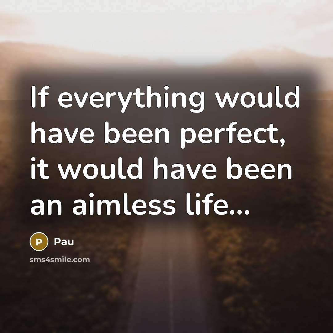 “If everything would have been perfect, it would have been an aimless life...” quote by Pau