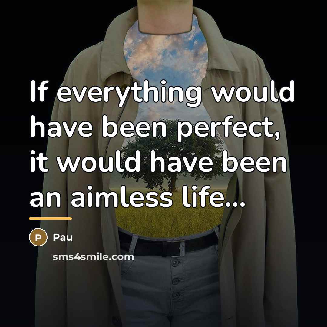 “If everything would have been perfect, it would have been…” quote by Pau