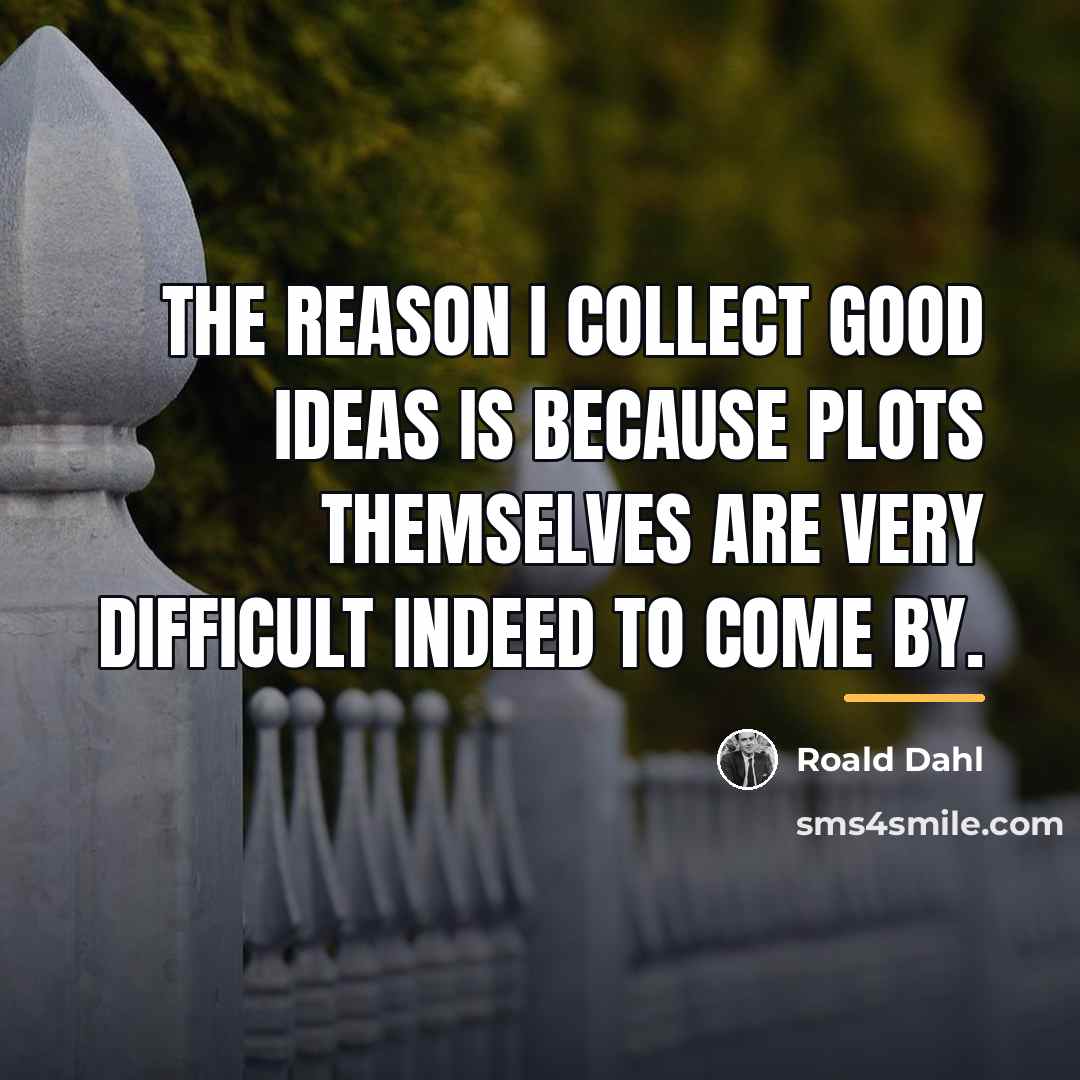 “The reason I collect good ideas is because plots themselves…” quote by Roald Dahl