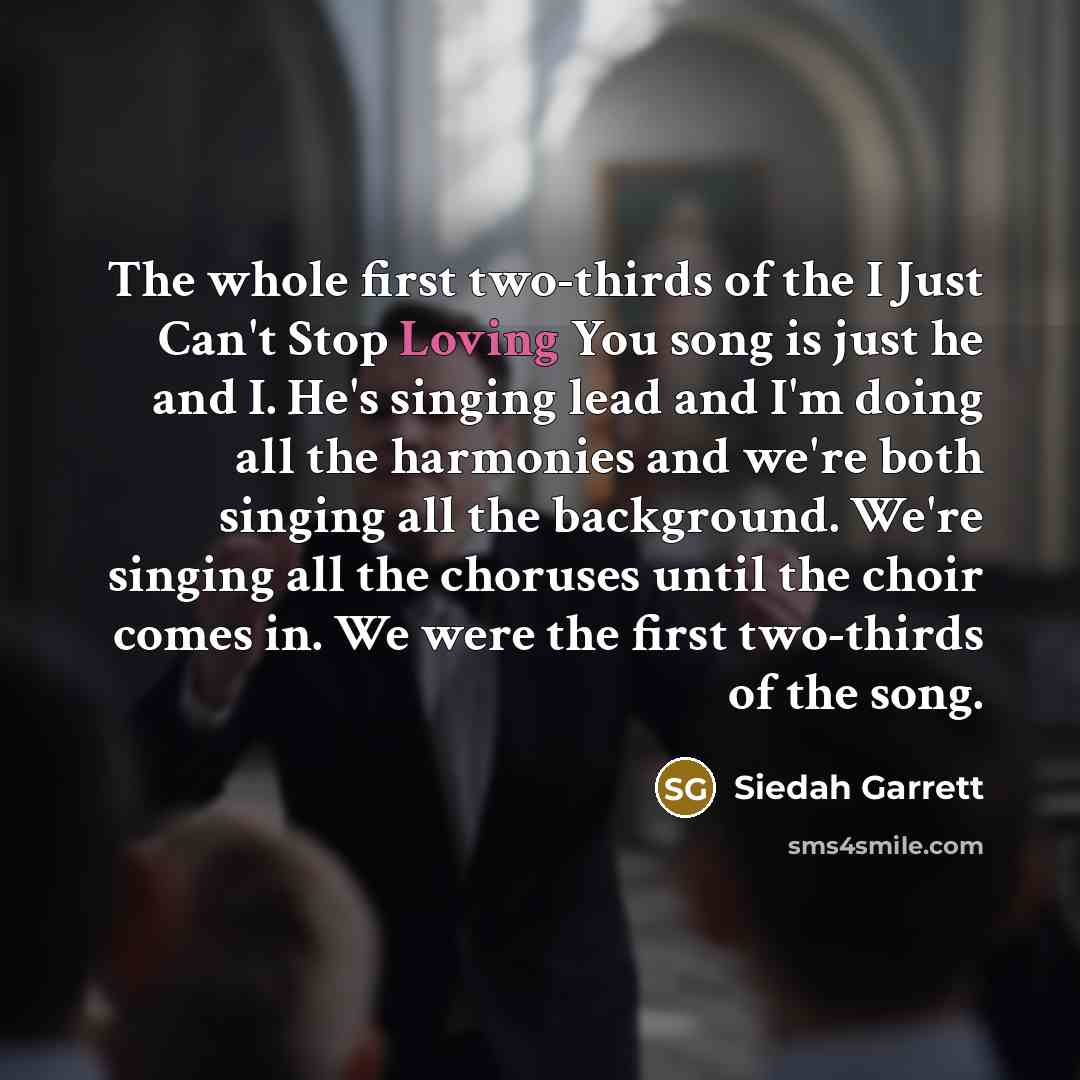 “The whole first two-thirds of the I Just Can't Stop…” quote by Siedah Garrett