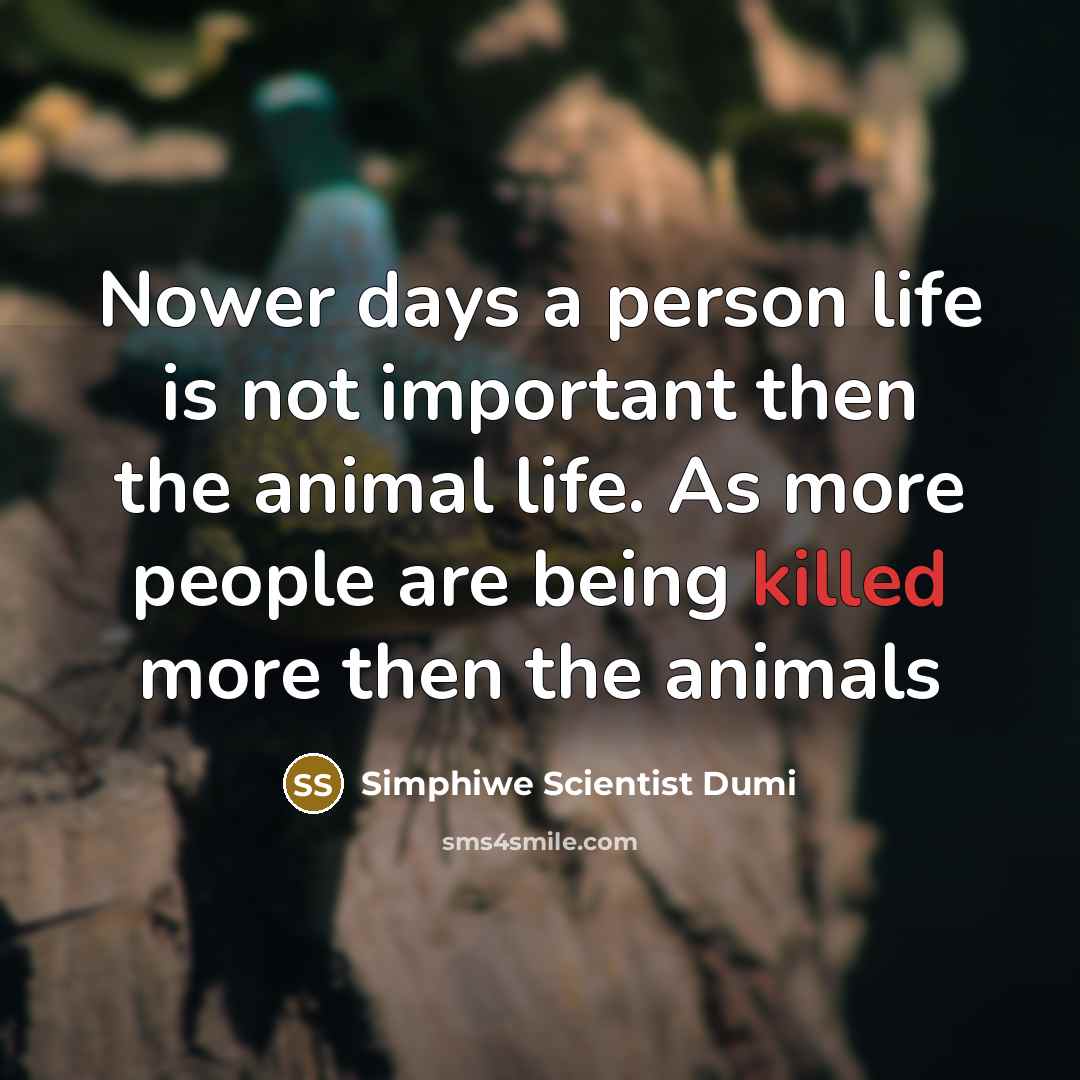“Nower days a person life is not important then the…” quote by Simphiwe Scientist Dumi