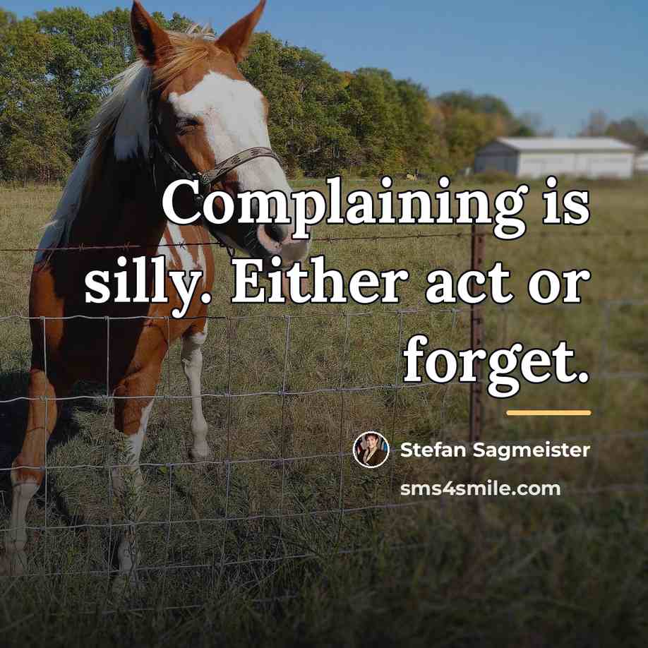 “Complaining is silly. Either act or forget.…” quote by Stefan Sagmeister