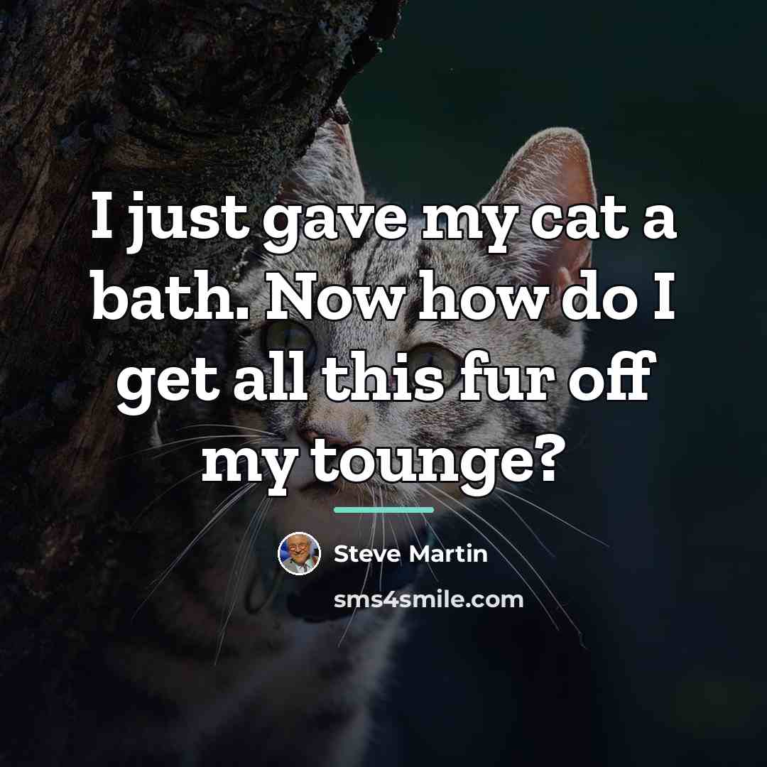 “I just gave my cat a bath. Now how do…” quote by Steve Martin