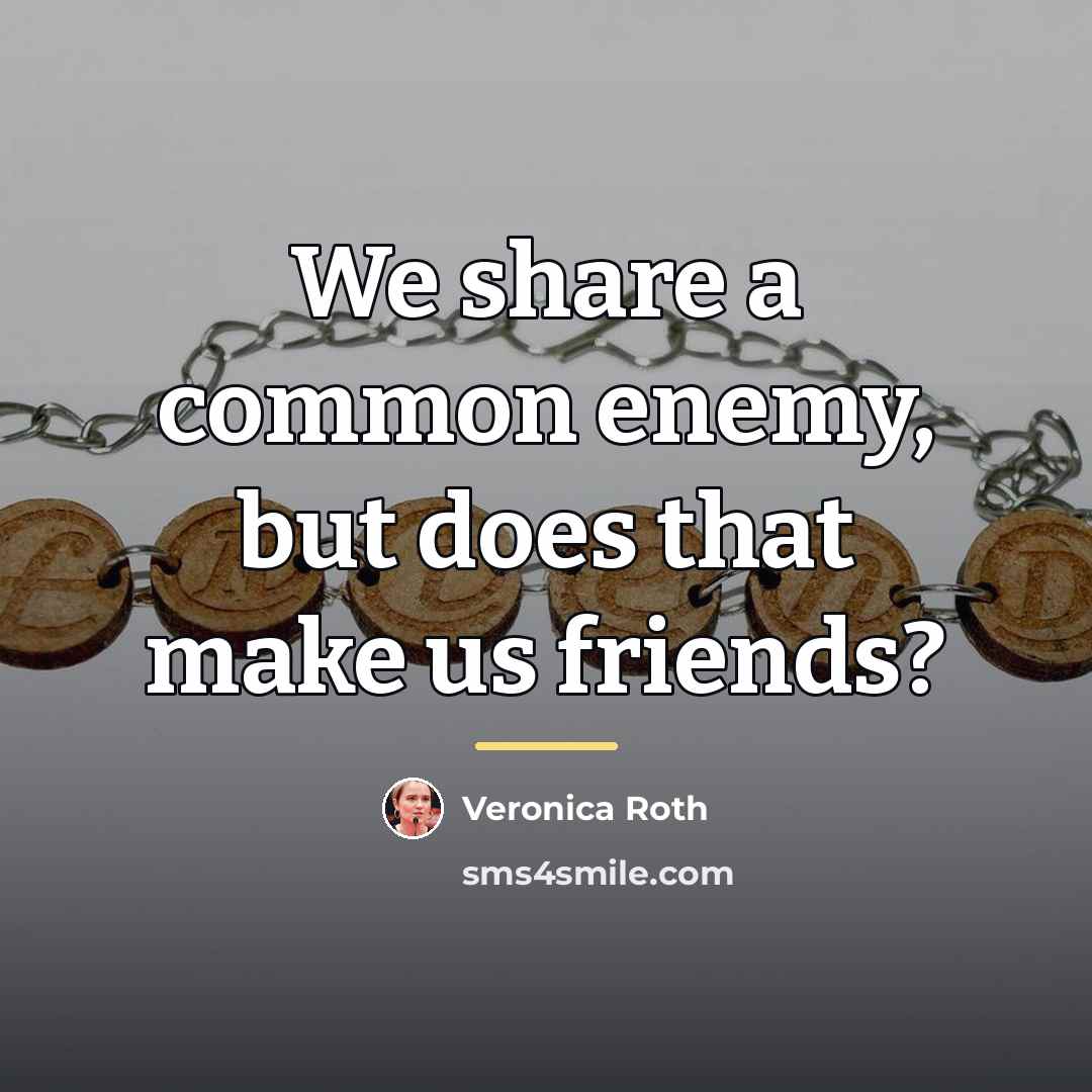 “We share a common enemy, but does that make us…” quote by Veronica Roth