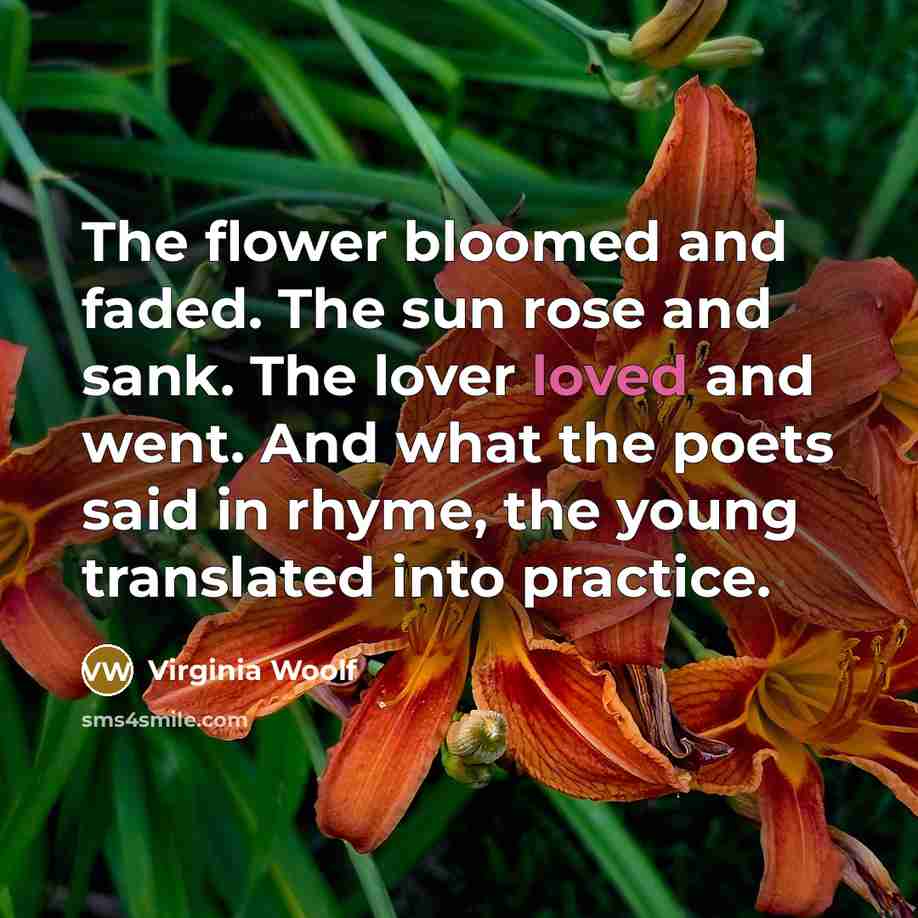 “The flower bloomed and faded. The sun rose and sank.…” quote by Virginia Woolf