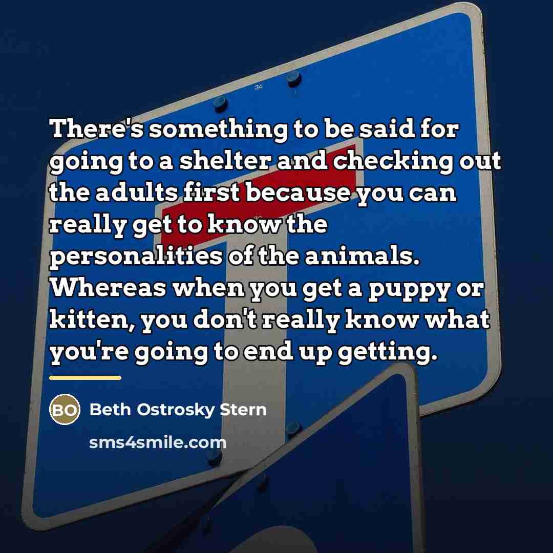 “There's something to be said for going to a shelter…” quote by Beth Ostrosky Stern