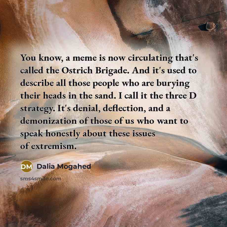 “You know, a meme is now circulating that's called the…” quote by Dalia Mogahed