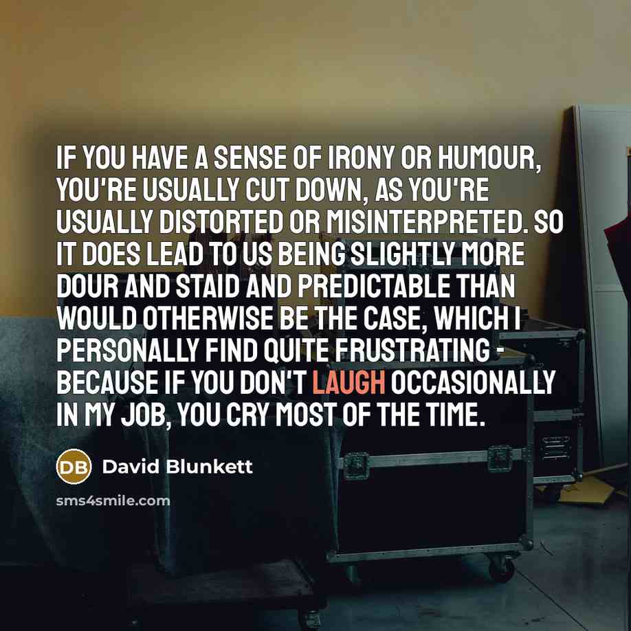 “If you have a sense of irony or humour, you're…” quote by David Blunkett