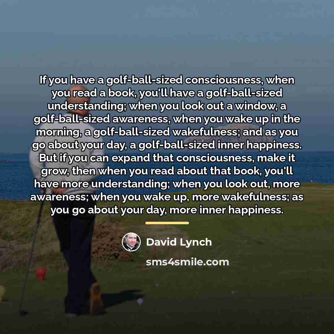 “If you have a golf-ball-sized consciousness, when you read a…” quote by David Lynch