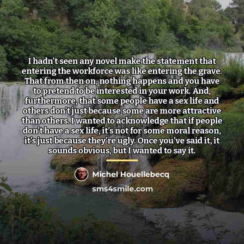 “I hadn’t seen any novel make the statement that entering…” quote by Michel Houellebecq