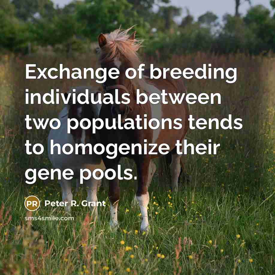 “Exchange of breeding individuals between two populations tends to homogenize…” quote by Peter R. Grant