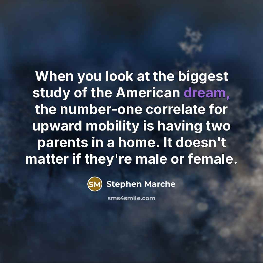 “When you look at the biggest study of the American…” quote by Stephen Marche