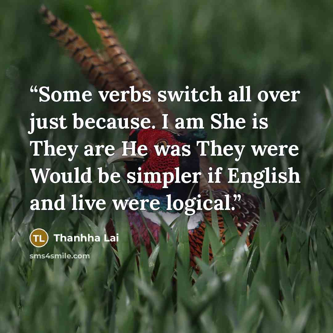 “Some verbs switch all over just because. I am She is They are He was They were Would be simpler if English and live were logical.” quote by Thanhha Lai