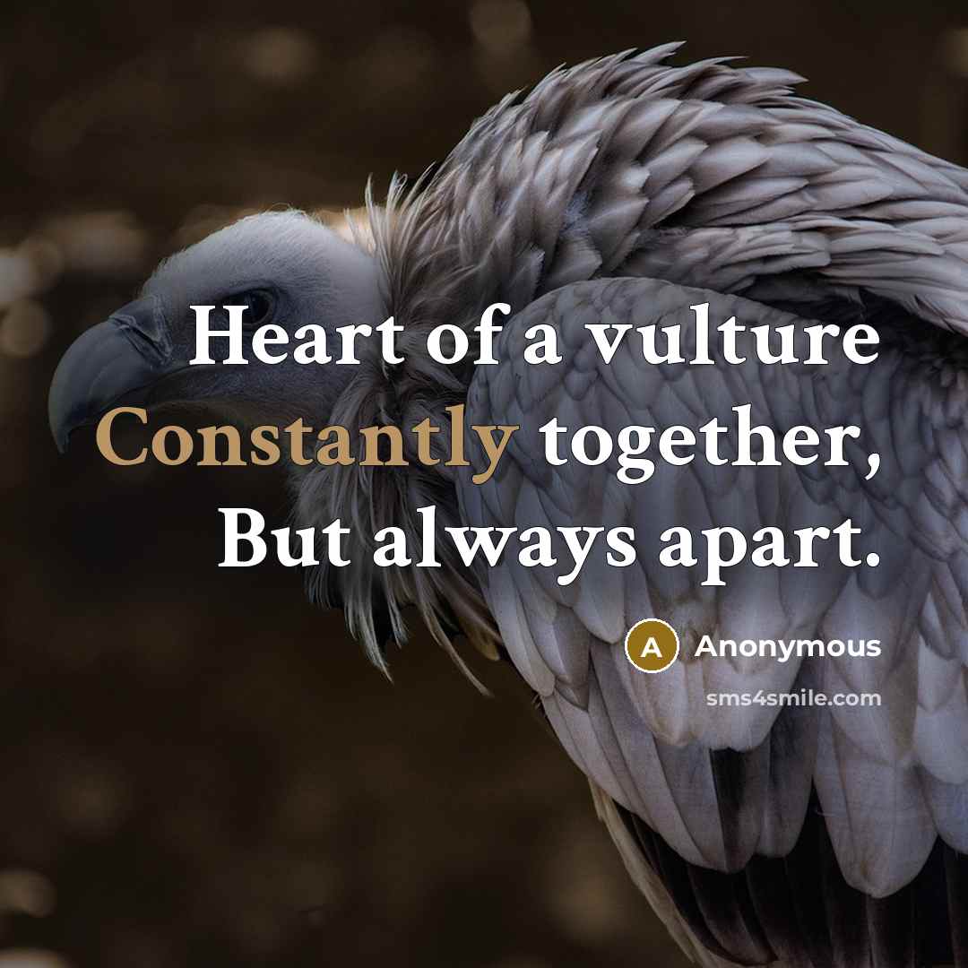 “Heart of a vulture Constantly together, But always apart.” quote by Anonymous