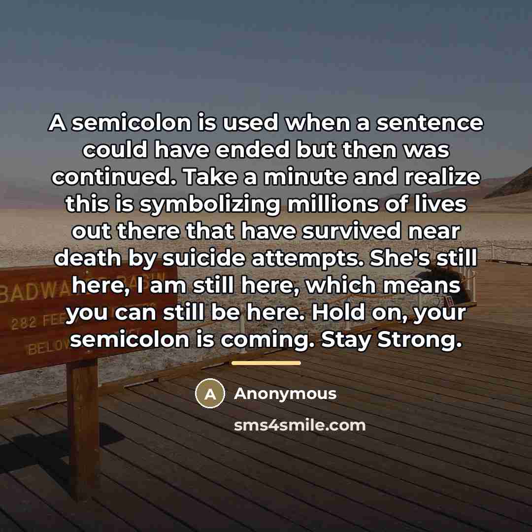 “A semicolon is used when a sentence could have ended…” quote by Anonymous