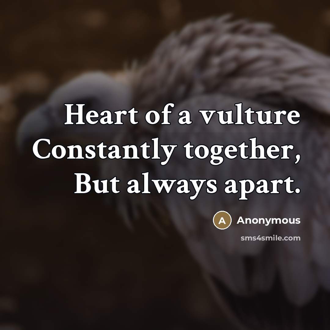 “Heart of a vulture Constantly together, But always apart.…” quote by Anonymous