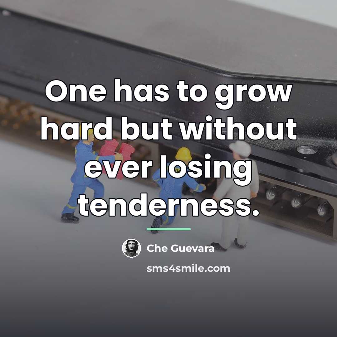 “One has to grow hard but without ever losing tenderness.…” quote by Che Guevara