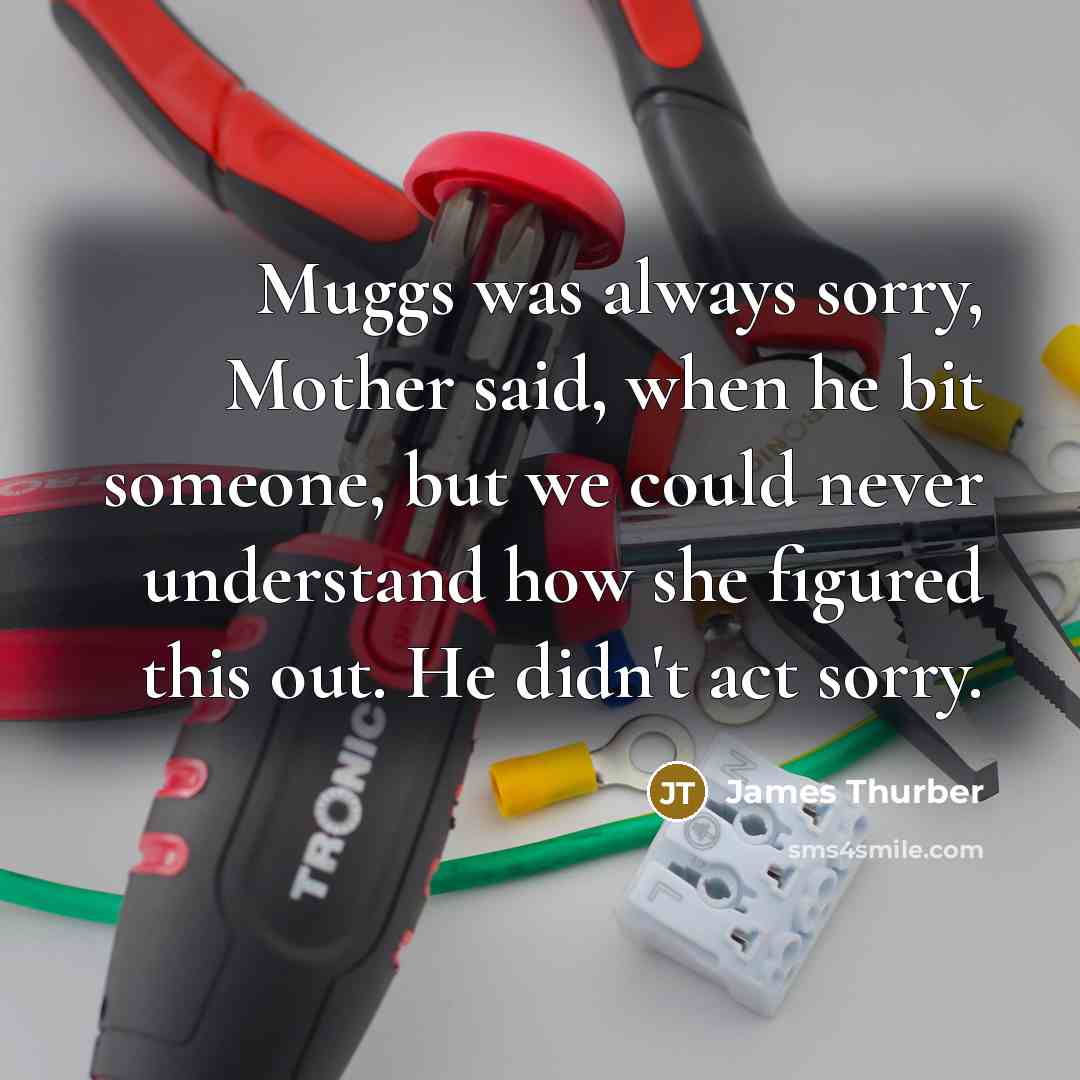“Muggs was always sorry, Mother said, when he bit someone,…” quote by James Thurber