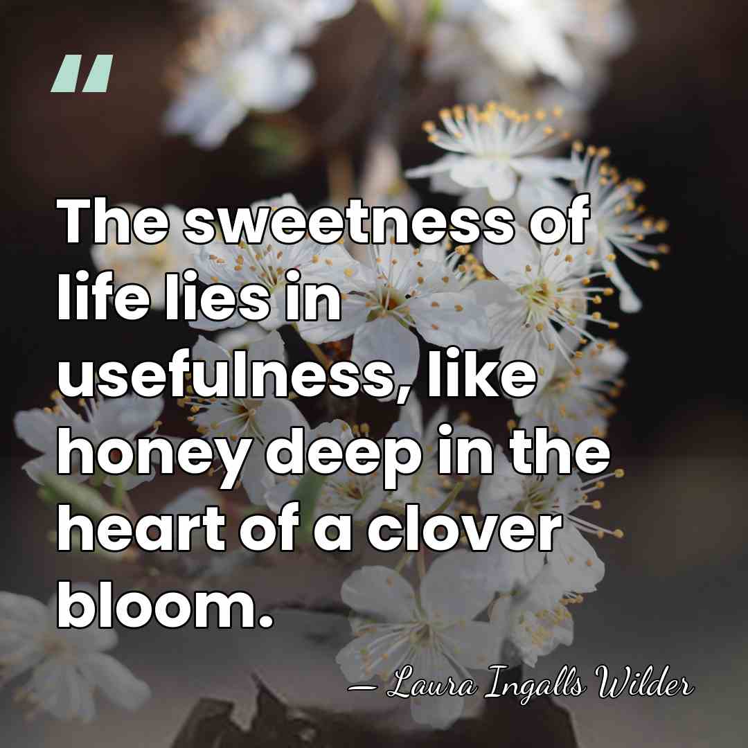 The sweetness of life lies in usefulness, like honey deep in the&hellip; - Laura Ingalls Wilder