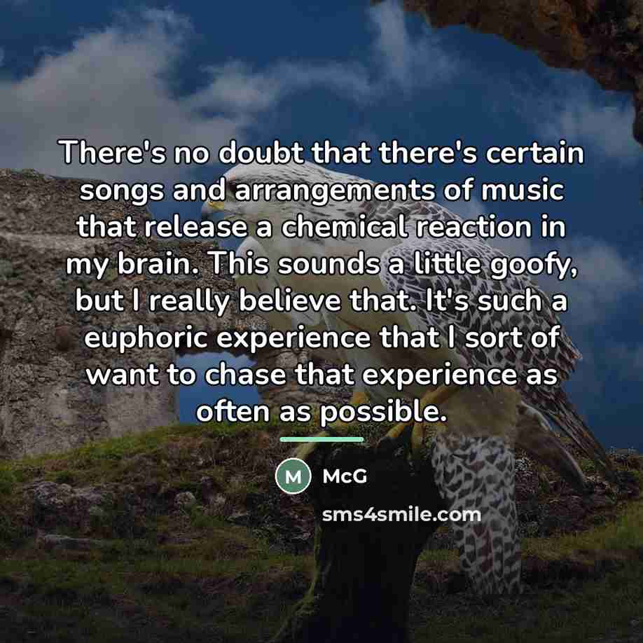 “There's no doubt that there's certain songs and arrangements of…” quote by McG