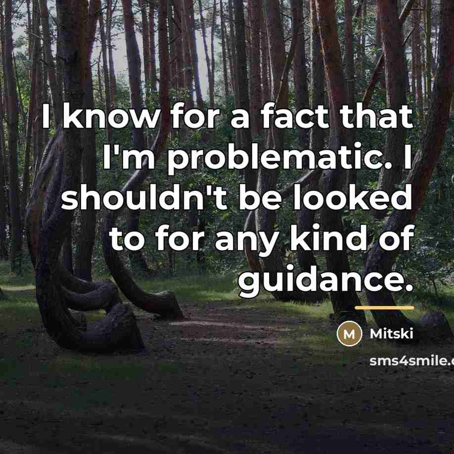 “I know for a fact that I'm problematic. I shouldn't…” quote by Mitski