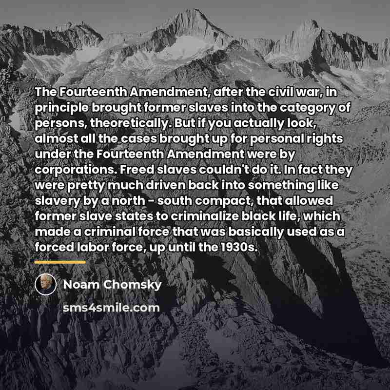 “The Fourteenth Amendment, after the civil war, in principle brought…” quote by Noam Chomsky