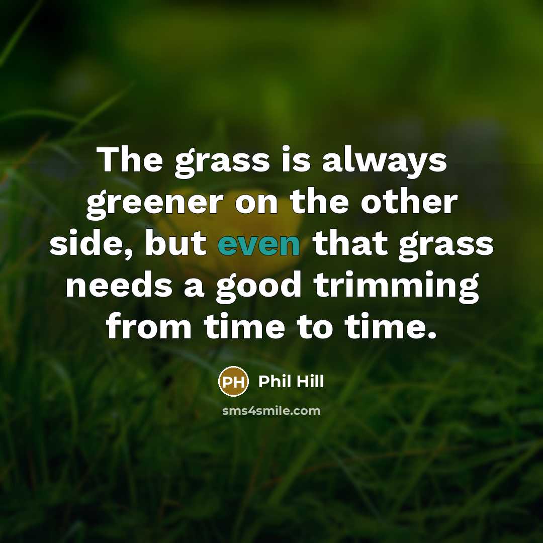 “The grass is always greener on the other side, but even that grass needs a good trimming from time to time.” quote by Phil Hill